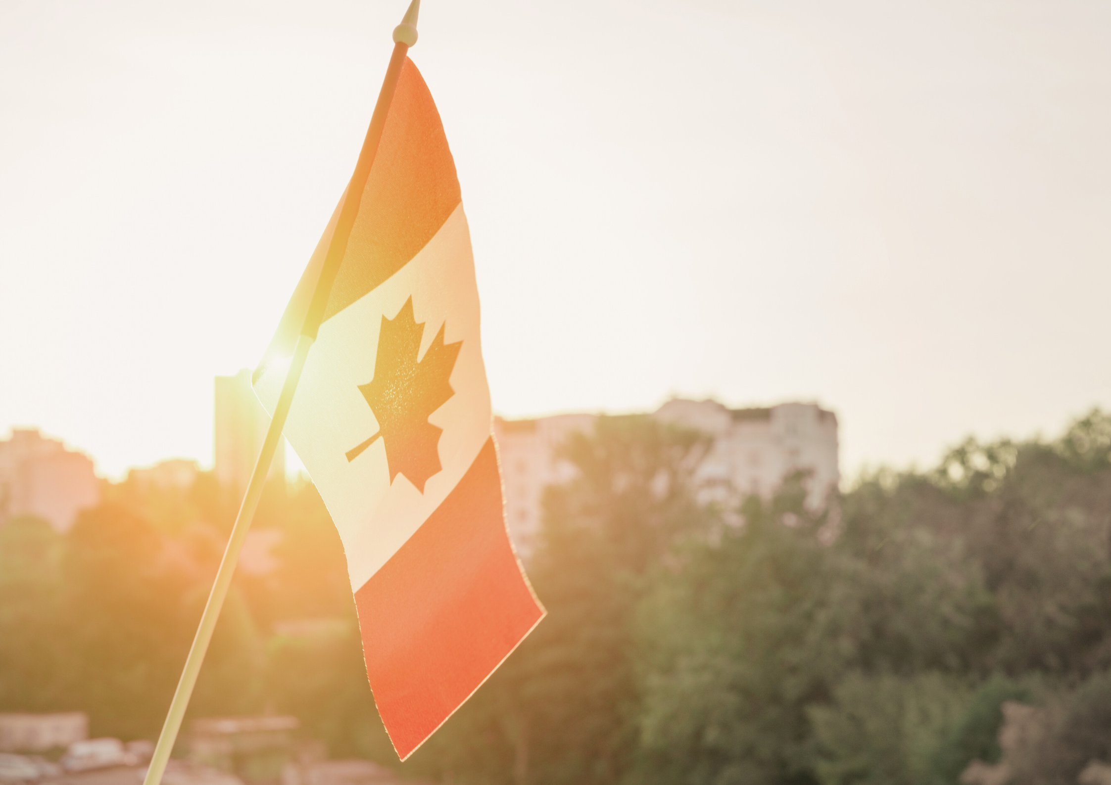 A Canadian flag against a generic backdrop of trees and a building.